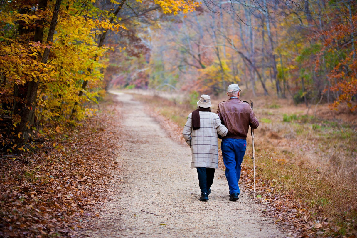 Pareja de personas mayores caminando por un sendero de tierra rodeado de árboles con hojas otoñales. La mujer lleva un abrigo largo a cuadros y un sombrero, mientras que el hombre viste una chaqueta de cuero y un gorro, apoyándose en un bastón. Ambos caminan juntos, disfrutando del paisaje natural.